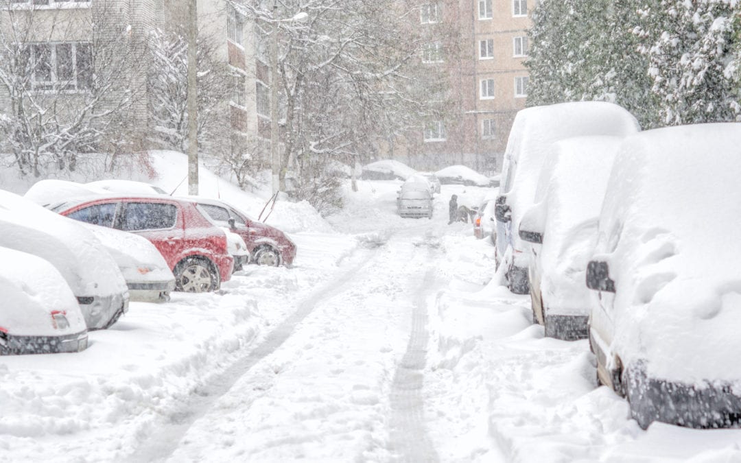 cars parked on the street covered in snow
